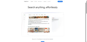 Google AI Overviews