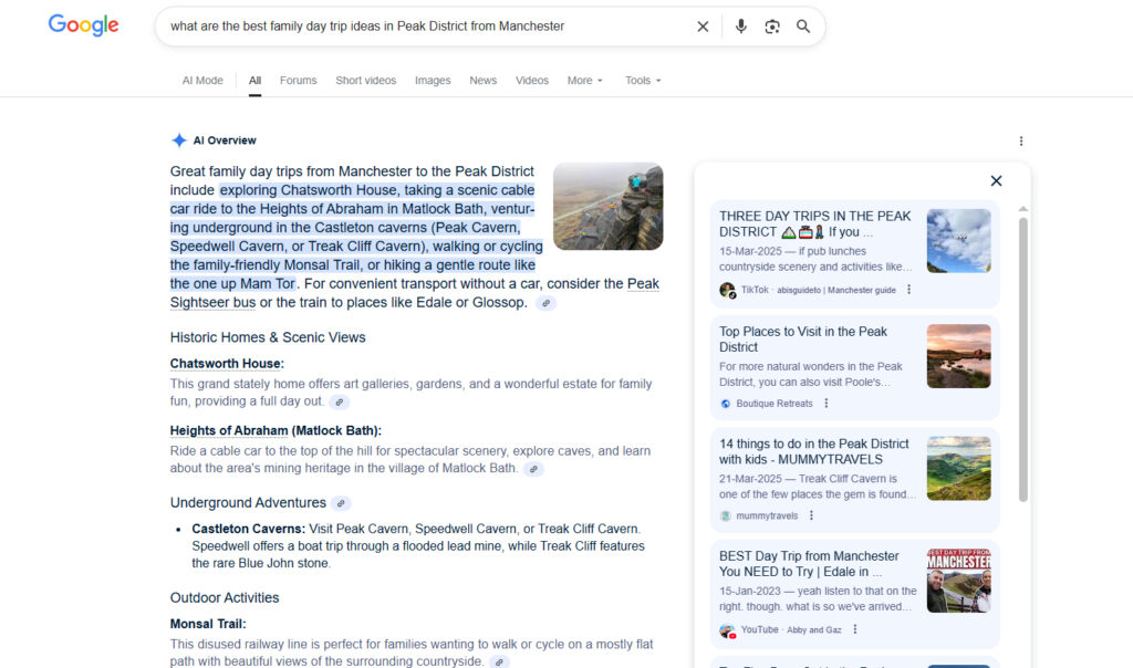 Google AI Overviews